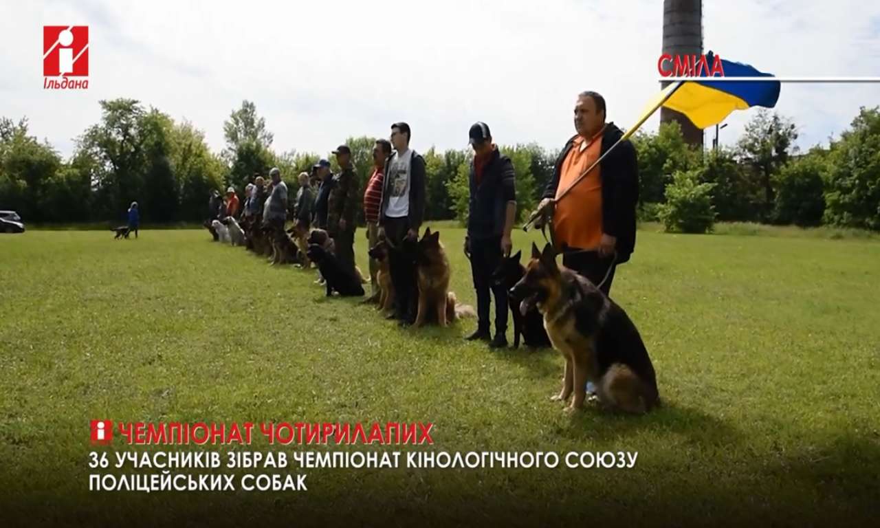 У Смілі відбувся Чемпіонат кінологічного союзу поліцейських собак (ВІДЕО)
